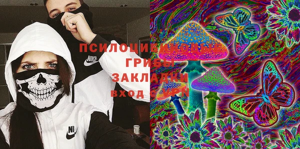PSILOCYBIN Коряжма